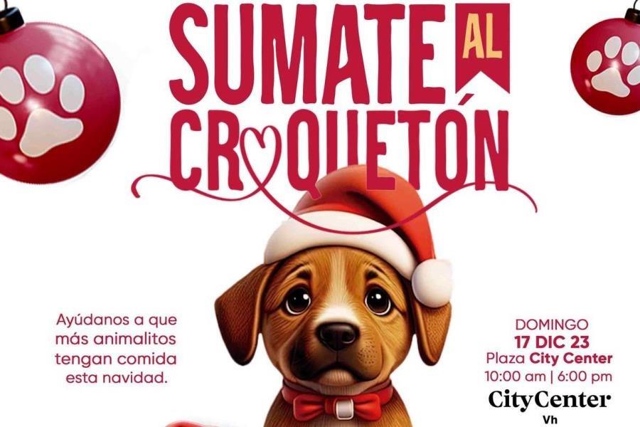 ¿Nos echas una pata? Croquetón lanza su edición 2023 a favor de gatos y perros