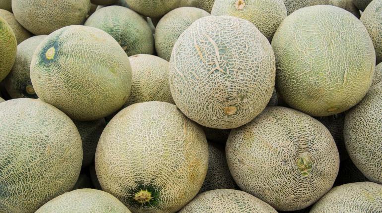 Alerta Canadá por brote de salmonela en melones de marcas mexicanas