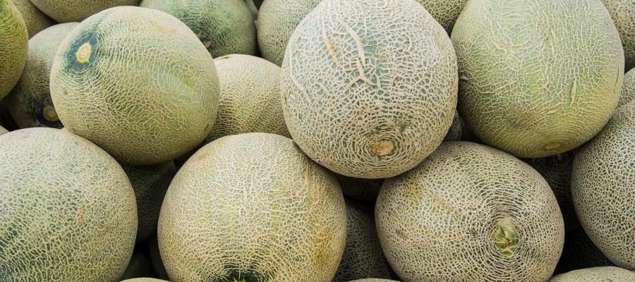 Alerta Canadá por brote de salmonela en melones de marcas mexicanas