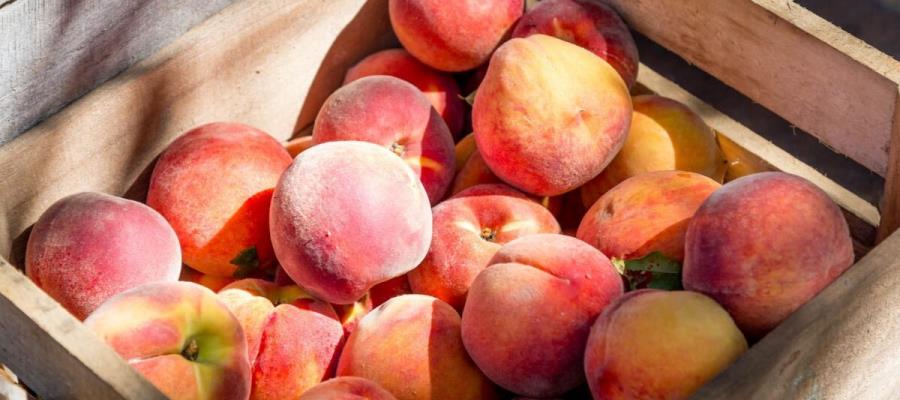 Alertan por frutas contaminadas importadas desde EE.UU. a México