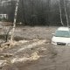 Tormenta invernal deja 5 muertos y zonas sin electricidad en EE.UU.