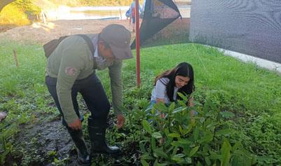 UJAT sembrará 24 mil plantas de mangle rojo en Biosfera de Wanha´