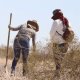 Bajo el T-MEC, México concluye que planta de Querétaro violó derechos de trabajadores