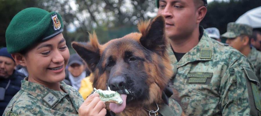 ¡Arkadas está de cumpleaños! Sedena celebra a perrito donado por Turquía