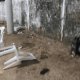 Ataque armado a palenque de gallos en Guerrero deja 13 muertos y 21 heridos