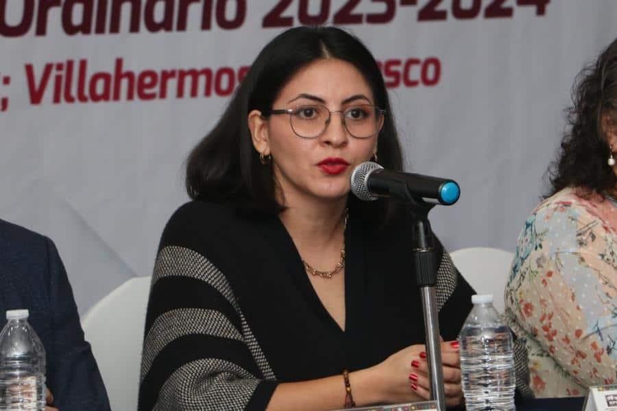 INE no ha tenido contratiempos por la inseguridad: Elizabeth Tapia