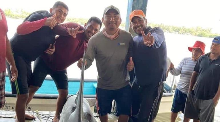 Pescadores capturan tiburón martillo en "El Bellote" Paraíso