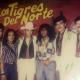 Los Tigres del Norte presumen foto con el tabasqueño Karmito