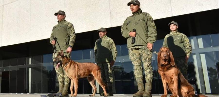 Marina jubila a perritos rescatistas; participaron en detentación de Caro Quintero y localización de víctimas en Turquía