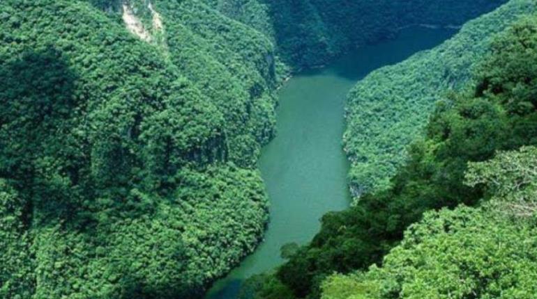 Empresas turísticas suspenden visitas a Selva Lacandona ante violencia por cárteles