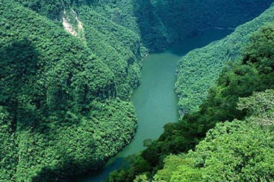 Empresas turísticas suspenden visitas a Selva Lacandona ante violencia por cárteles