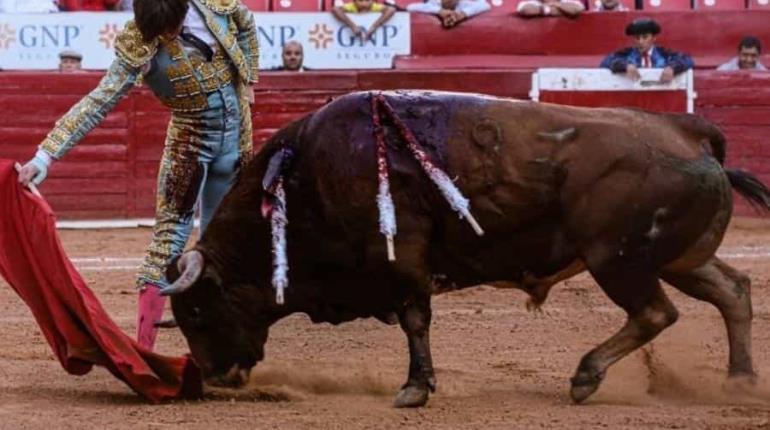 Juez suspende corridas de toros en Zacatlán y San Andrés Cholula, Puebla