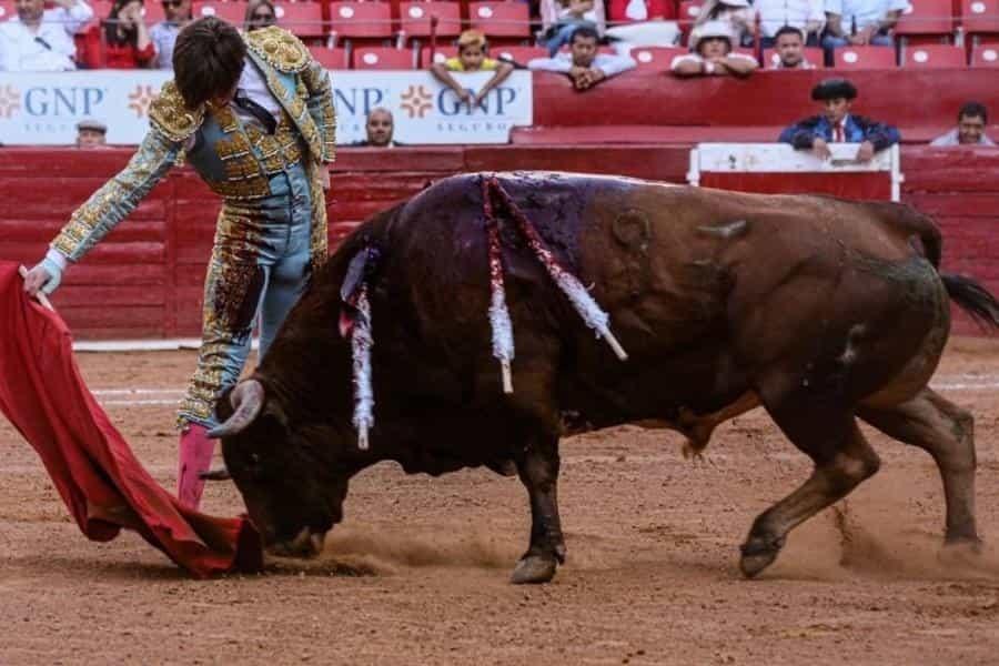 Impugna Plaza México suspensión de corridas de toros