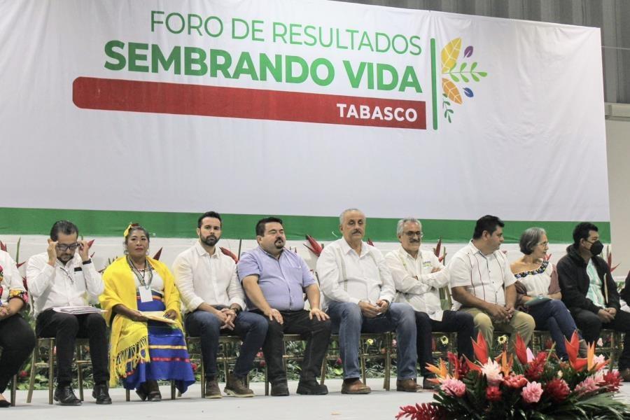 Tabasco ha recibido inversión de "Sembrando Vida" de más de 17 mil mdp en 5 años: Gobernador