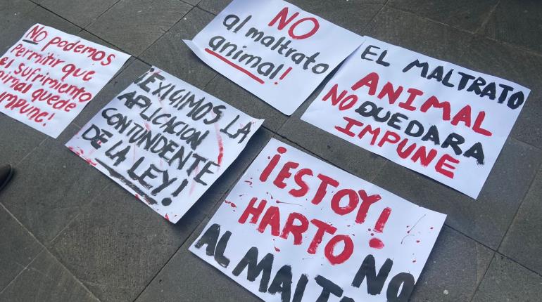 Con protesta y pliego petitorio, exigen asociaciones castigo al maltrato animal