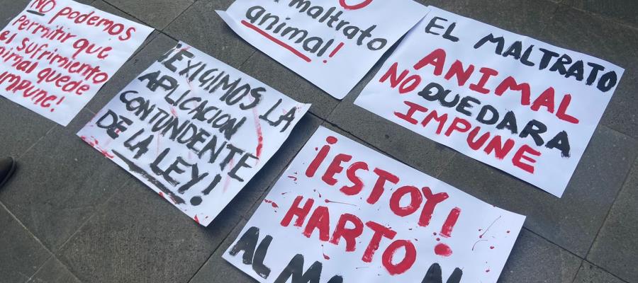 Con protesta y pliego petitorio, exigen asociaciones castigo al maltrato animal