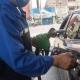 Hacienda sube estímulo para la gasolina Magna y Diésel