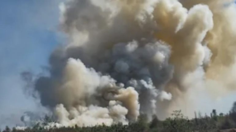 Se registra incendio dentro del Parque Xochimilco