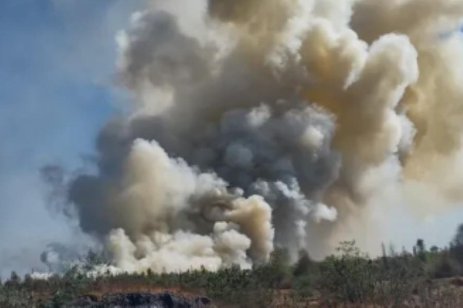 Se registra incendio dentro del Parque Xochimilco