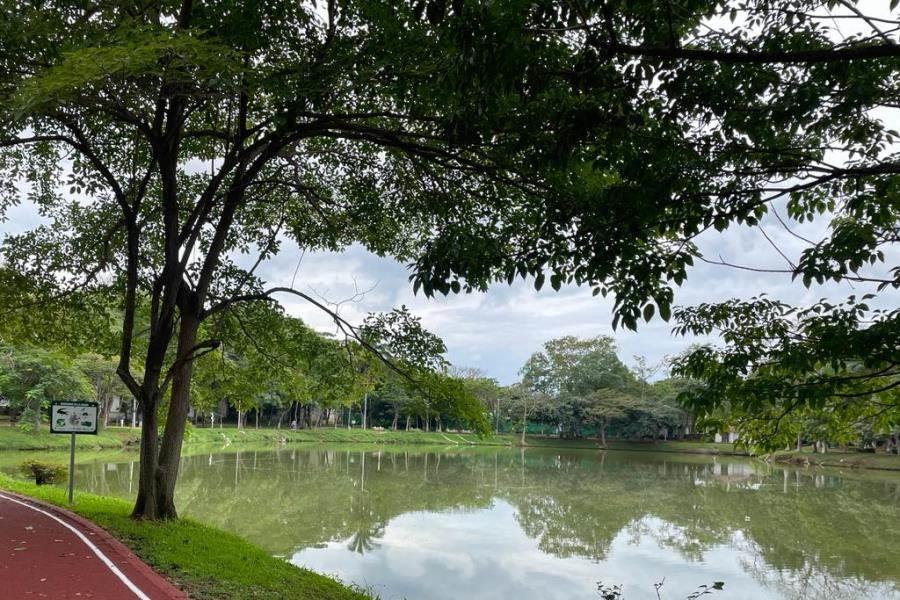 Persisten altas temperaturas y bajas probabilidades de lluvias en Tabasco