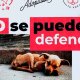 Ofrecen recompensa de 10 mil pesos por presunto envenenador de perritos en Hidalgo