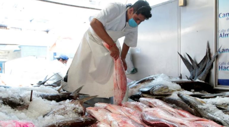 Garantiza SADER abasto de pescados y mariscos de producción nacional para Cuaresma