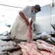 Garantiza SADER abasto de pescados y mariscos de producción nacional para Cuaresma