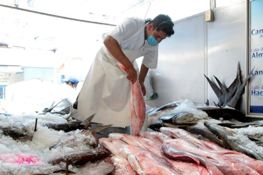 Garantiza SADER abasto de pescados y mariscos de producción nacional para Cuaresma