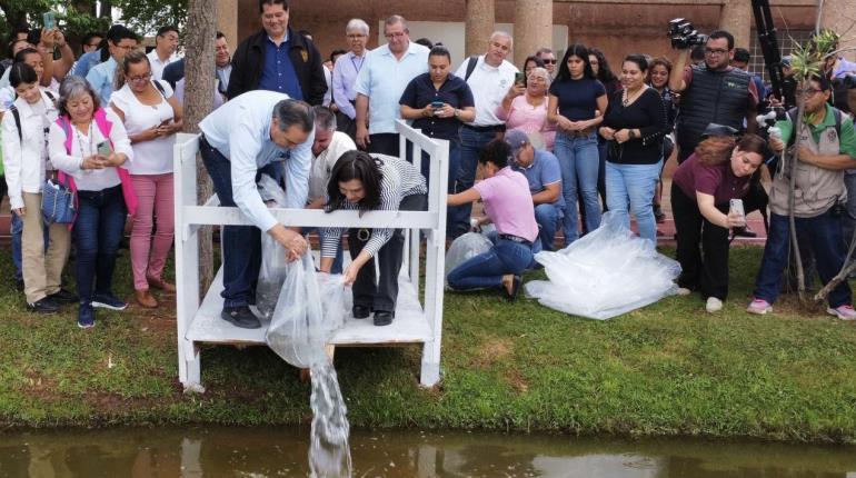 Siembran 6 mil peces y 20 pejelagartos en laguna de La Pólvora