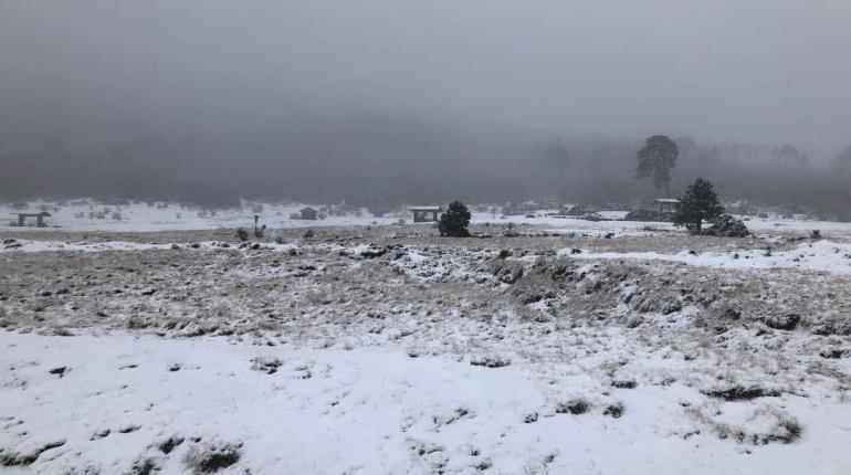 Cae nieve en zona alta de Tlalpan en CDMX