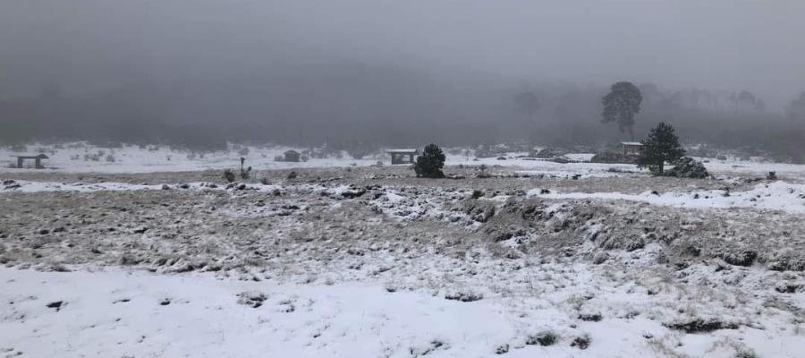 Cae nieve en zona alta de Tlalpan en CDMX