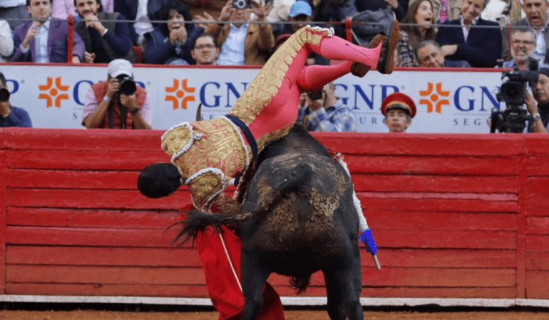 Torero Hector Gutiérrez sufre cornada en el muslo de derecho en corrida de la Plaza México