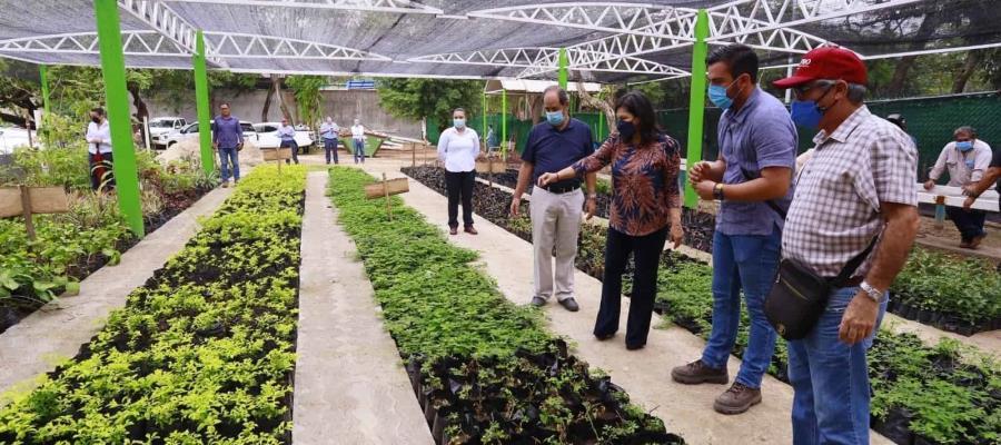 Produce Centro más de 10 mil plantas y 3 toneladas de composta en vivero municipal