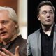 Musk y Assange nominados al Nobel de la Paz