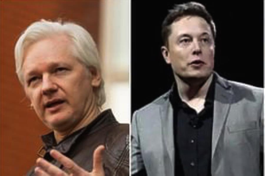 Musk y Assange nominados al Nobel de la Paz