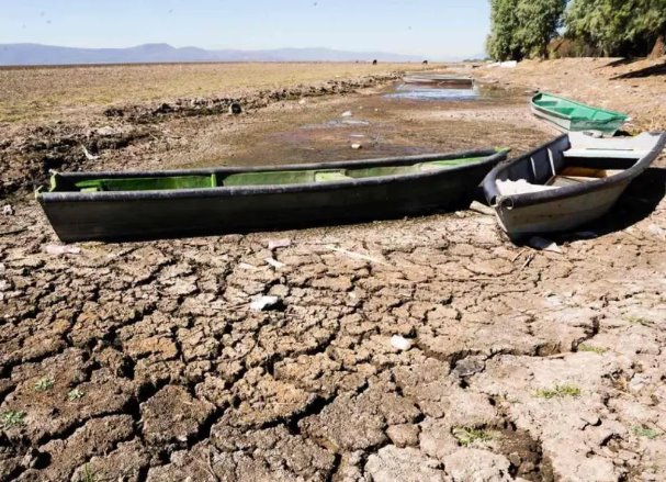 75.4% del país padece falta de lluvias; 143 municipios sufren la sequía más grave de todas