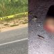 Localizan dos cabezas humanas en la zona de La Chontalpa