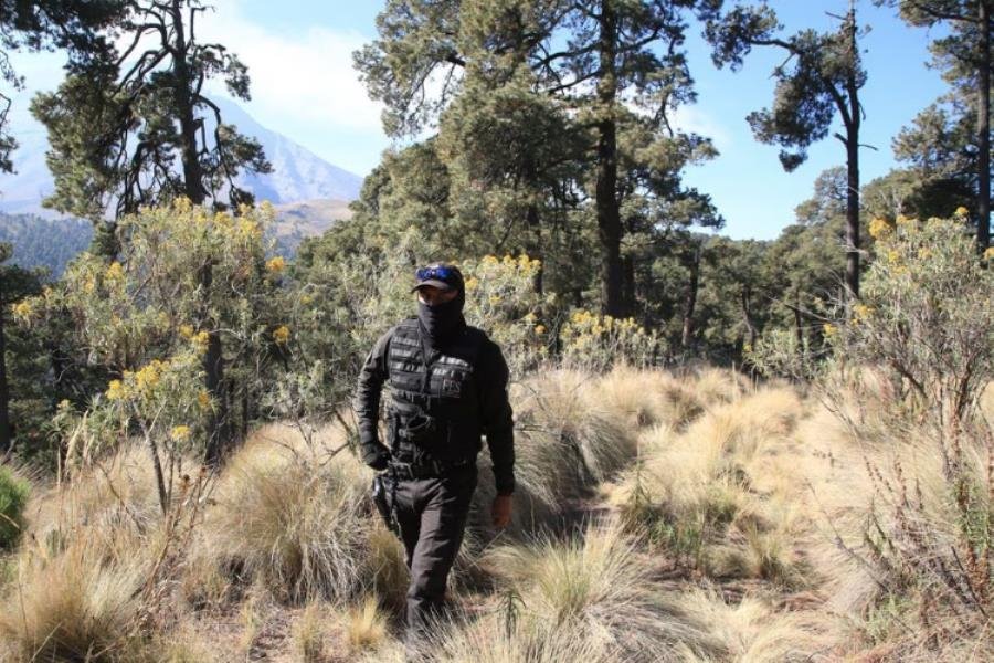 Asesinan a 3 guardabosques en San Andrés Hueyacatitla, Puebla