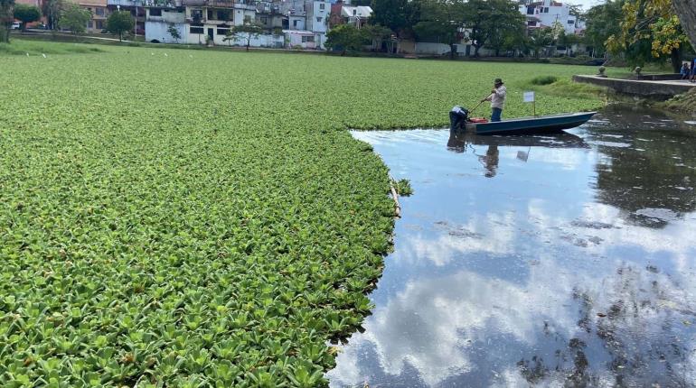 Con tecnología japonesa sanearán laguna El Jícaro en Centro