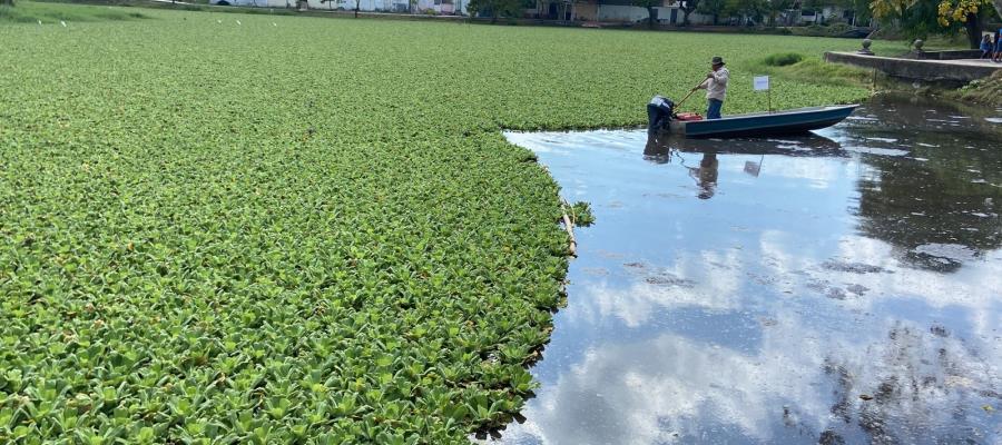 Con tecnología japonesa sanearán laguna El Jícaro en Centro