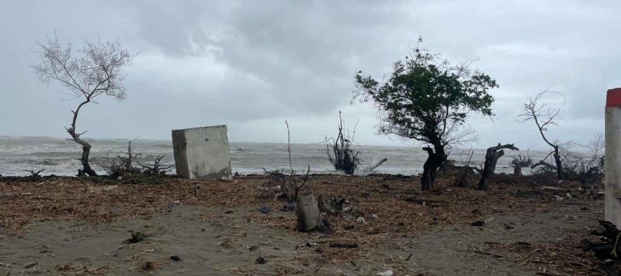 Tabasqueña expone ante la CIDH crisis climática en la comunidad El Bosque