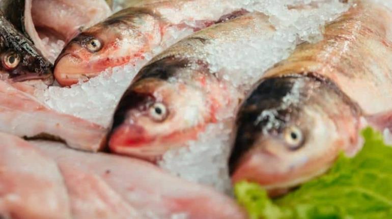 Emite Salud recomendaciones para cuidar consumo de pescados y mariscos por Cuaresma