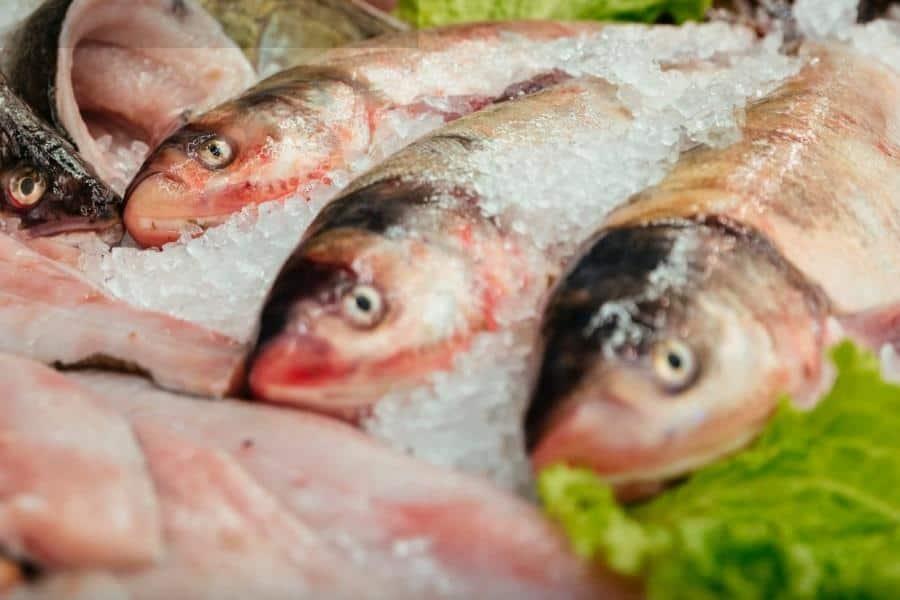 Emite Salud recomendaciones para cuidar consumo de pescados y mariscos por Cuaresma