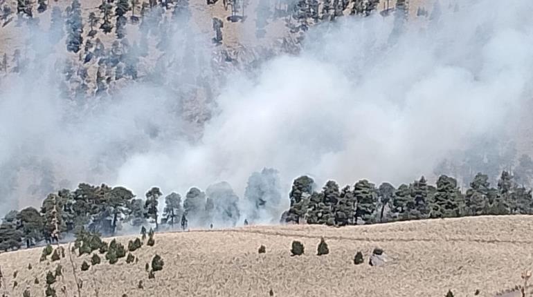 Cierran Parque Nacional Izta – Popo por incendio forestal que afecta 150 hectáreas