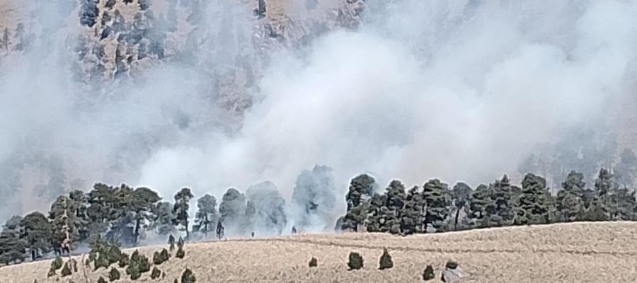 Cierran Parque Nacional Izta – Popo por incendio forestal que afecta 150 hectáreas