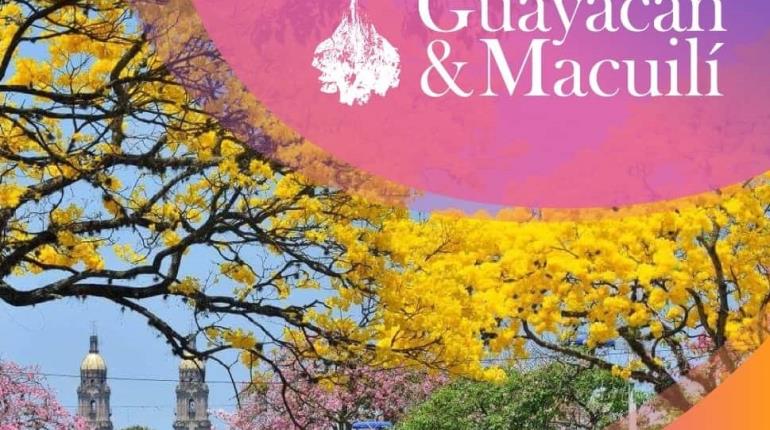 Inicia este miércoles el Festival Guayacán & Macuilí 2024