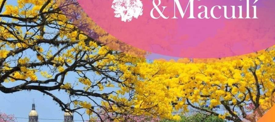 Inicia este miércoles el Festival Guayacán & Macuilí 2024