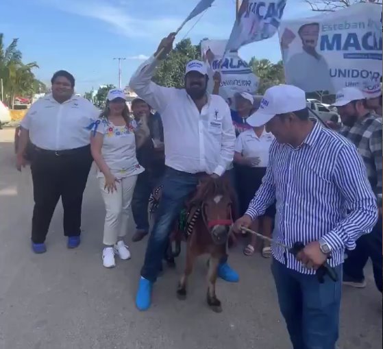 Tunden a candidato panista de Yucatán por subirse a poni en campaña