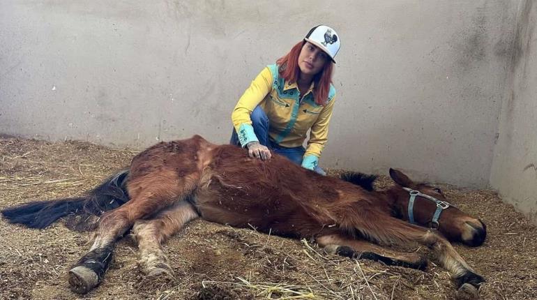 Muere Elena Larrea, fundadora del santuario ´Cuacolandia´