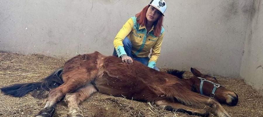 Muere Elena Larrea, fundadora del santuario ´Cuacolandia´